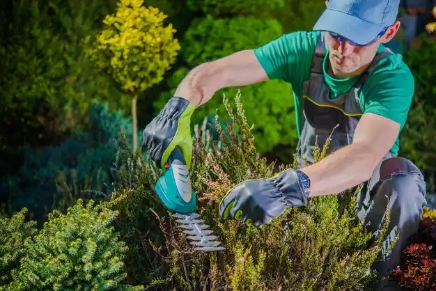 landscaping services Ashland